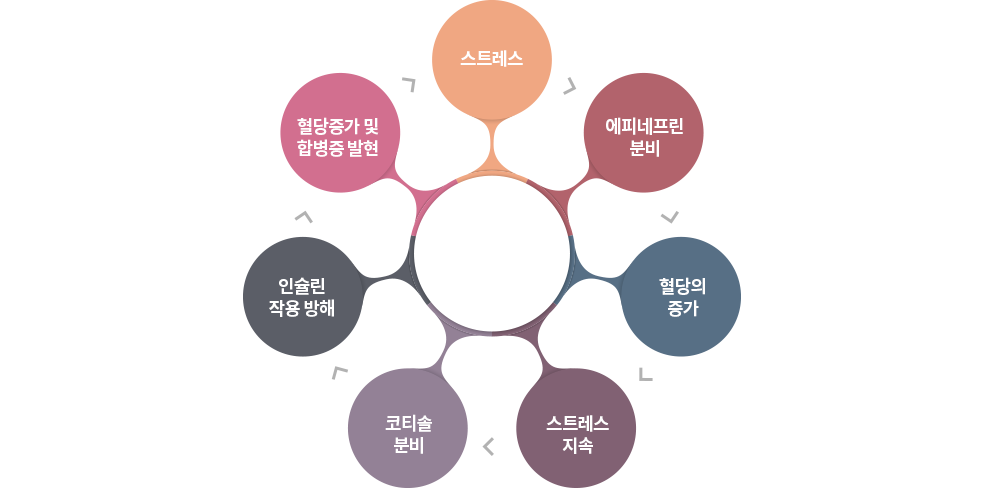 스트레스와 당뇨병의 관계 / 스트레스→에피네프린 분비→혈당의 증가→스트레스 지속→코타솔 분비→인슐린의 작용 방해→혈당증가 및 합병증발현→스트레스→ 반복